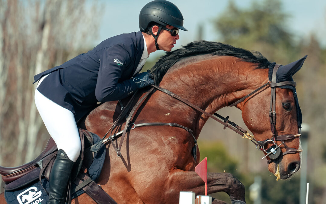 CSN2* F.H.M. JUMPING HORSES