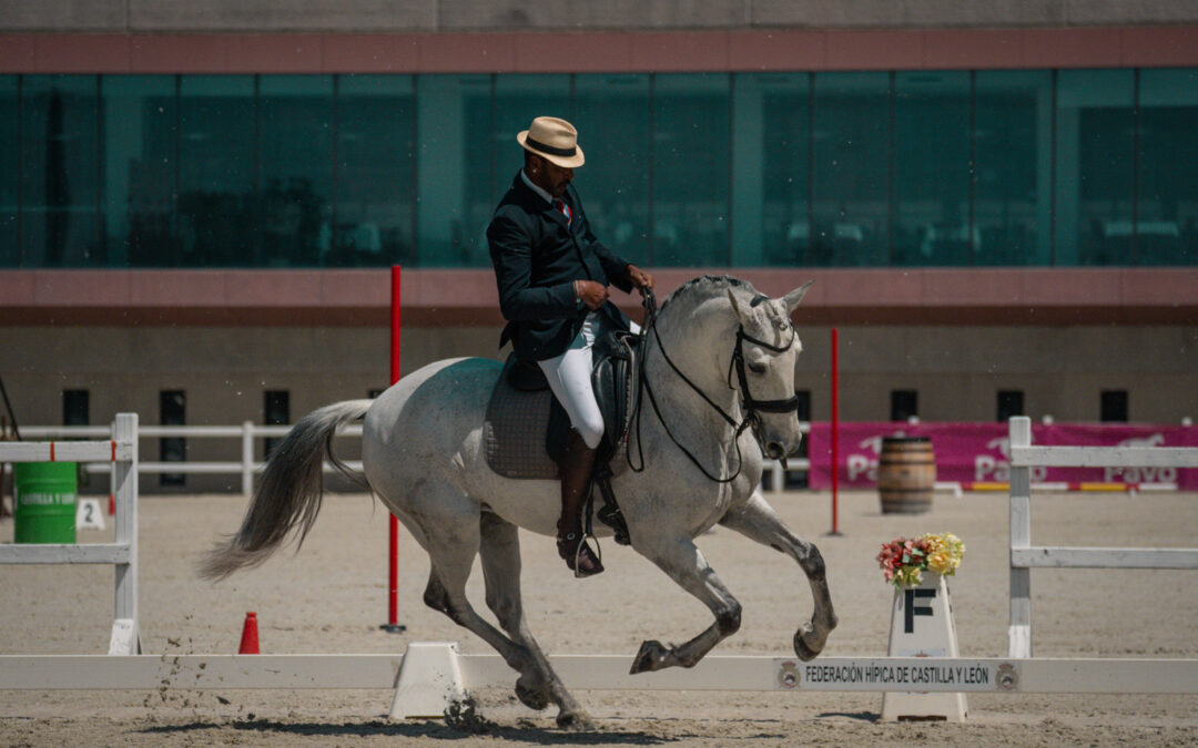 CETI SEGOVIA’2026 – Dressage