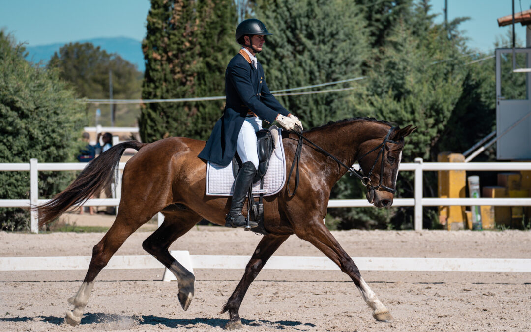 EVENTING DRESSAGE ‘LA DEHESA’